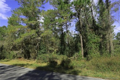 1601 E Tradewind Dr, Hernando, FL 34442 - photo 4
