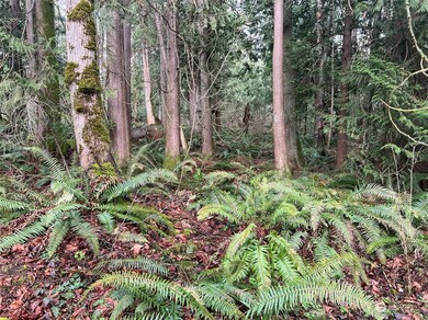 0 XX Valley View Rd, Sedro Woolley, WA 98284 - photo 5