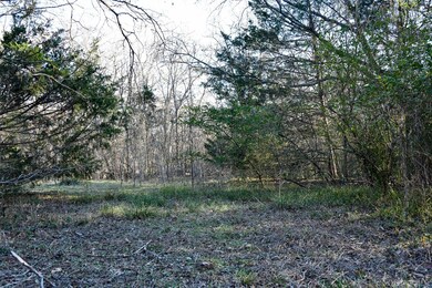 911 Benton St, Bonham, TX 75418 - photo 6