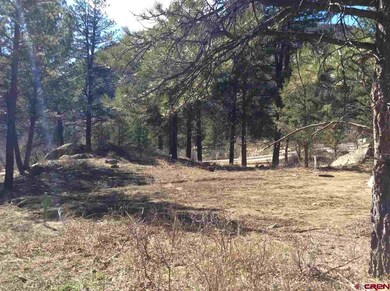 0 Aster Ln unit 729665, Durango, CO 81301 - photo 5