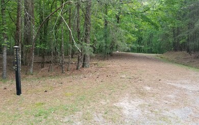 Additional View