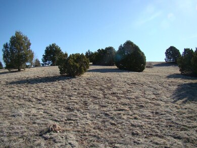 1185 Arrowhead Pass
