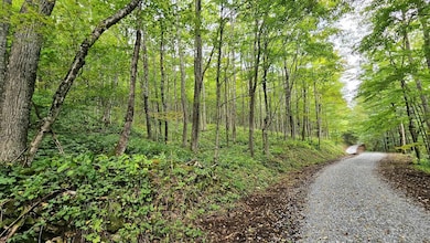 0 Lot 22 Eagles Nest unit 25-854, Snowshoe, WV 26209 - photo 7