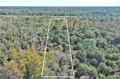 Alligator Alley, Naples, FL 34117 - photo 4