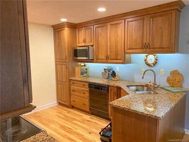 105 Roasted Chestnut Trail, Hendersonville, NC 28792 - photo 2