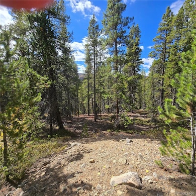 5347 Monitor Lode Claims, Leadville, CO 80461 - photo 7