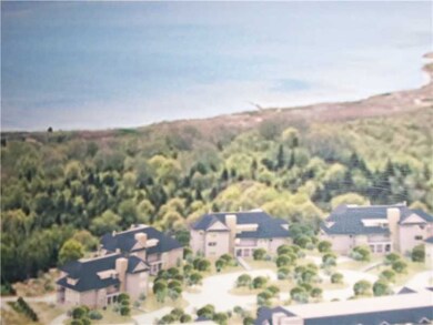 Aerial View.