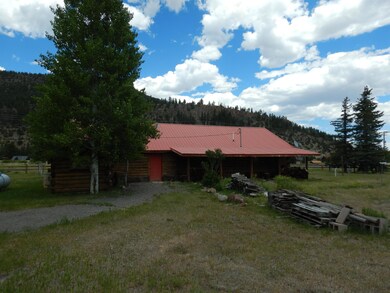 19 Fir Dr, South Fork, CO 81154 - photo 6
