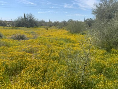 5686 E Red Bird Rd, Scottsdale, AZ 85266 - photo 2