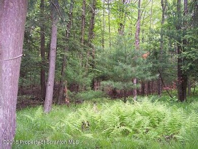 0 Woodledge East Lake Dr, Hawley, PA 18428 - photo 4