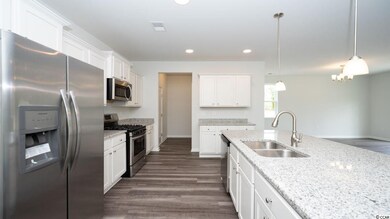 2994 Skylar Dr unit Lot 146 - Beech E, Myrtle Beach, SC 29577 - photo 7