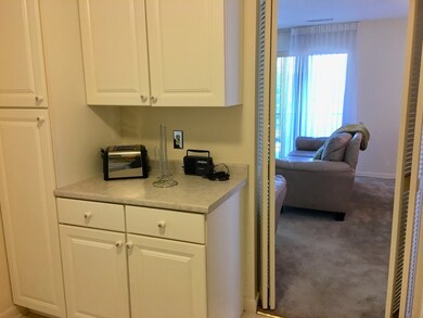 1006 Paradise Rd unit 3M, Swampscott, MA 01907 - photo 7