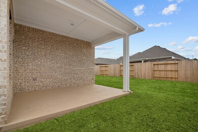 1253 Wandering Brook St, Magnolia, TX 77354 - photo 5