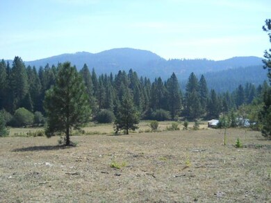 2056 Dry Creek Rd, Chewelah, WA 99109 - photo 7