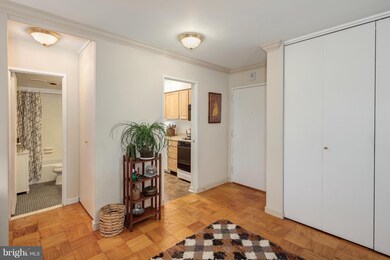 Tiber Island unit W500, Washington, DC 20024 - photo 6