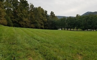 Additional View