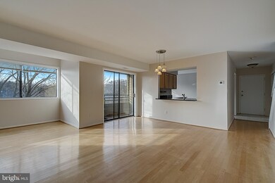 6907 Jones View Dr unit 69073B, Baltimore, MD 21209 - photo 7