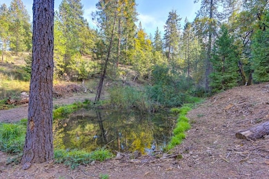 26355 Barb Wire Ln, Colfax, CA 95713 - photo 2