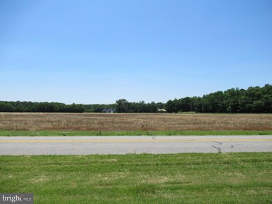 3831 Firetower Rd, Felton, DE 19943 - photo 3