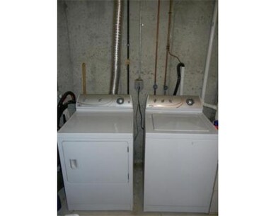 26 Batchelder St unit 26, Roxbury, MA 02119 - photo 4