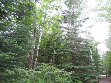 Acreage Cth Cc, Tomahawk, WI 54487 - photo 7