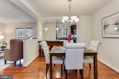 4129 S Four Mile Run Dr unit 204, Arlington, VA 22204 - photo 4