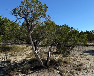 LOT 519 Deer Trail Dr, Lakehills, TX 78063 - photo 7