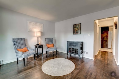 1046 S East Ave, Oak Park, IL 60304 - photo 3