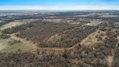 TBD Erwin @ Zion Hill Rd, Poolville, TX 76487 - photo 7