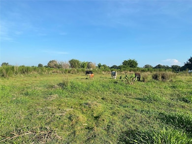 5187 Greenfields Run, Zolfo Springs, FL 33890 - photo 3