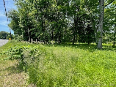 369 Turnpike Rd, Somers, CT 06071 - photo 3