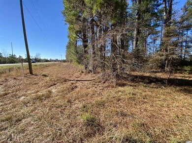 TBD 1.0 Acre Highway 378, Conway, SC 29527 - photo 6