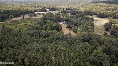 Drone footage
