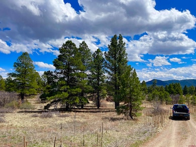 21 Eiffel Ct, Pagosa Springs, CO 81147 - photo 6