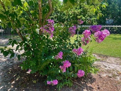 Already growing & stunning!