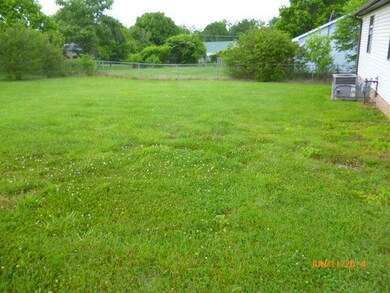 Fenced back yard