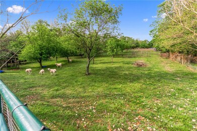 Fruit tree Orchard