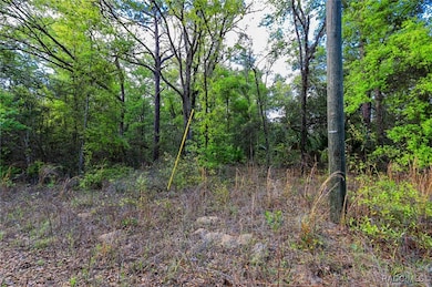 7451 W Rainbow St, Dunnellon, FL 34433 - photo 5