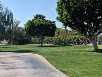 yard 1