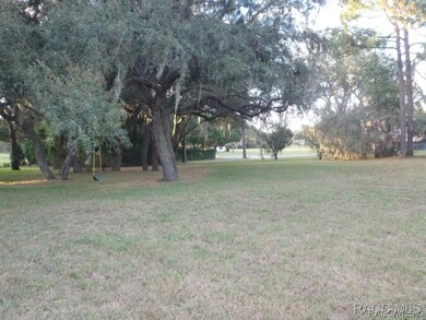 back yard