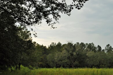 DSC_0209 (2)