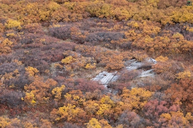 NHN Casadepaga River, Nome, AK 99762 - photo 3