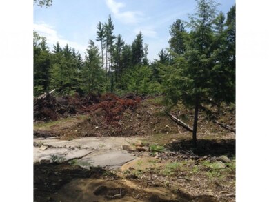 408/157.2 Brown Ridge, Weare, NH 03281 - photo 6