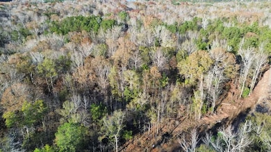 Tract B Lee Road 345, Salem, AL 36874 - photo 6