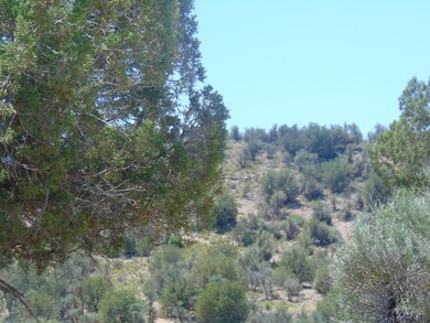 DSC00362
