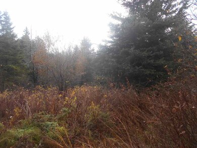 0 Brook Park Rd, Stewartstown, NH 03576 - photo 6