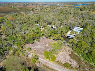 12193 W Bald Eagle Ct, Crystal River, FL 34429 - photo 7