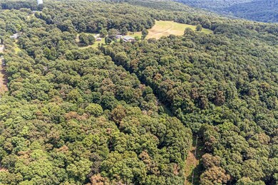 16507 Carpenter Rd, Winslow, AR 72959 - photo 2