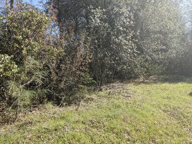 PXL_20210323_180558477