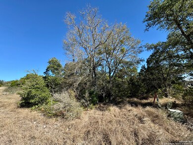 LOT 182 County Road 2816, Mico, TX 78056 - photo 7